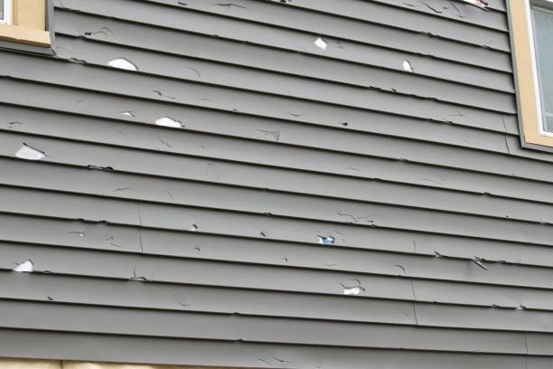 Siding Removal and Disposal in Rose Hill, NC